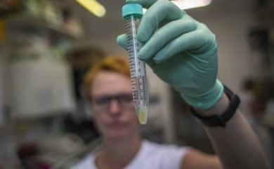 Lijek za Alchajmer prošao početnu fazu testiranja