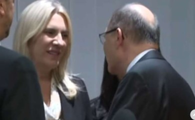 „On je nešto došao, mlatio, pokazivao, pričao“ Cvijanović otktila šta je rekla Šmitu