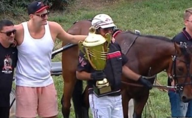 Da ti stane pamet: Pogledajte koliko vrijede Jokićevi konji