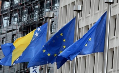 "Pomoć stranaca dobrodošla, ali BiH mora sama da raščisti put ka EU"