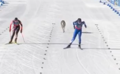 “Vuk” jurio Hrvaticu tokom trke, šou na Zimskim olimpijskim igrama (VIDEO)