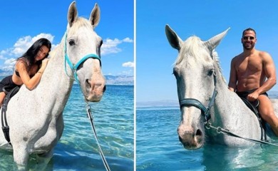 Ranč nudi kupanje u moru s konjima ( FOTO)