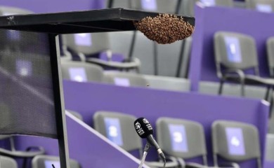 MEKSIKO: Teniski meč kasnio zbog pčela, Hrvatica nije smjela sjesti na stolicu