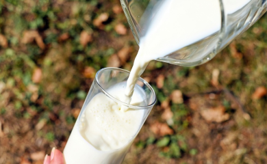 Nerealne cijene mlijeka, evo šta proizvođači upozoravaju