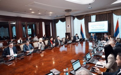 Vlada Srpske usvojila plan: 180 miliona KM za poljoprivredu i selo, nova ulaganja i u zdravstvo, privredu i zaštitu od poplava