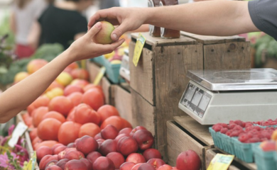 Uskoro postavljanje prodajnih štandova: Pet banjalučkih naselja dobija rejonske pijace