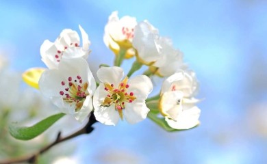 Velika prognoza za proljeće: Upozorenje za Balkan