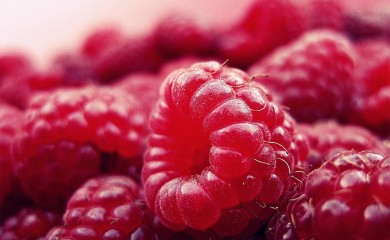 Izvoz malina u Srbiji u vrijednosti od skoro 300 miliona evra