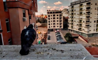 NOVI UDAR NA DŽEP U narednom periodu poskupljuje parking u užem centru Banjaluke