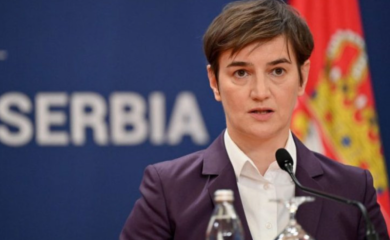 BRNABIĆ: Srbija nema planove da ulazi u bilo kakve sukobe