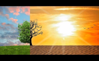 WWF: Moramo promijeniti način života da bismo zaustavili dalje zagrijavanje planete
