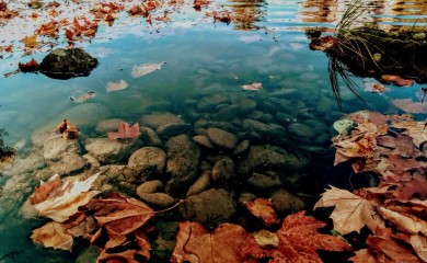 Jesen počinje 23. septembra