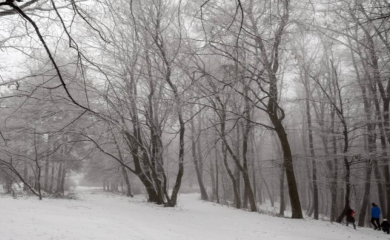 Velike padavine u Hercegovini: Snijeg pola metra, preplavljeni seoski putevi