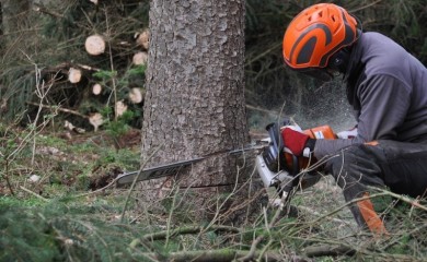 Pronađen mrtav čovjek u šumi, na njemu bio trupac