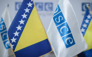 OEBS pozvao Narodnu skupštinu RS da preispita svoju odluku