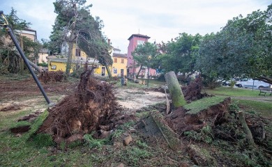 Oluja opustošila region: Razoreni dijelovi Srbije i Hrvatske (FOTO/VIDEO)