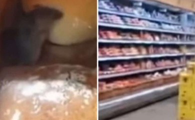 Snimak miša kako jede hljeb zgrozio sve na mrežama, reagovala inspekcija (VIDEO)