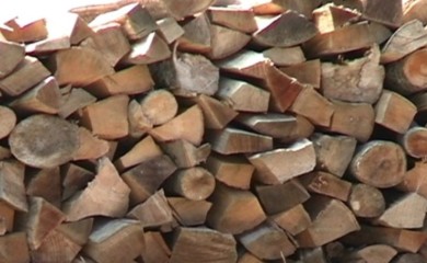 Drva pala na radnika u pogonu: Stradao na licu mjesta