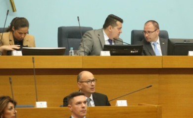 Ima li Stevandić krevet u Narodnoj skupštini i ko treba da izađe na limunadu: Još jedna nesvakidašnja diskusija poslanika