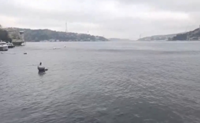 Pogledajte kako se talasa more tokom zemljotresa u Istanbulu (VIDEO)