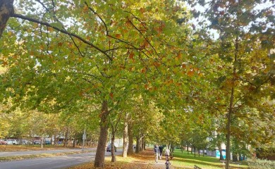 U toku dana sunčano, sutra se očekuje tepmeratura do 27 stepeni
