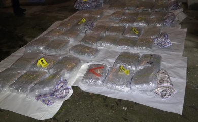 Uhapšena kriminalna grupa: Zaplijenjeno 80 kilograma marihuane VIDEO