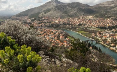 Čelnik PDP-a prijavio poznatog vinara da ga je gurnuo i povukao za nos