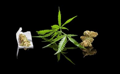 Akcija “Balkon”: Zaplijenjeni marihuana i kokain, uhapšeno dvoje