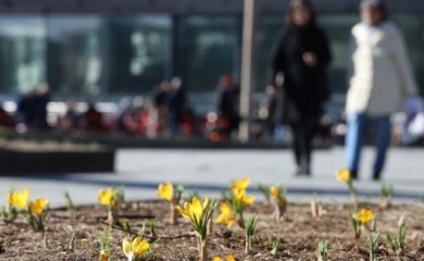 Zimska čarolija nas napušta: Mart sa sobom donosi pravo PROLJEĆE