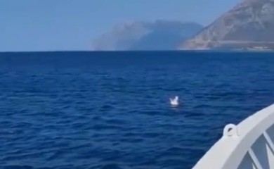 Dvogodišnjeg dječaka iz Srbije morska struja odnijela dva kilometra od obale (VIDEO)