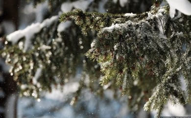 Snijeg napokon prestao padati: Danas razvedravanje, na jugu sunčano
