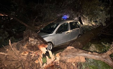 Nevrijeme u Rovinju i Poreču čupalo stabla, voda ušla u kuće