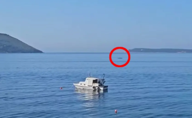 Upućen hitan apel zbog kita u Crnoj Gori