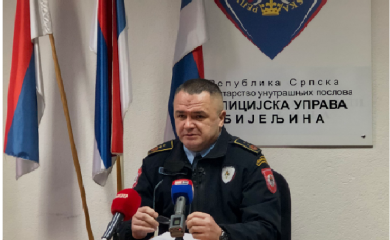 TERZIĆ: Najviše krivičnih djela je iz oblasti opšteg kriminaliteta