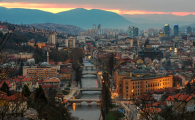 Inspekcija provodi pojačan nadzor zbog najezde žohara