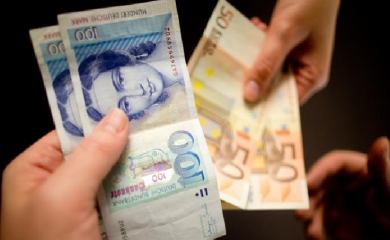 Koliko srpska porodica treba novca da preživi u Njemačkoj?