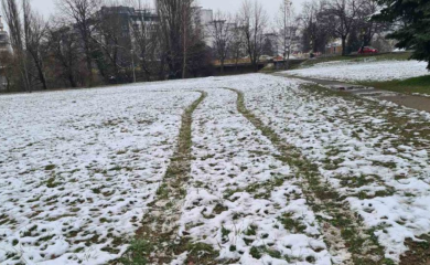 Haos u Obilićevu: Automobilom išli preko livade kod Venecija mosta, lomili znakove i drveće (FOTO)