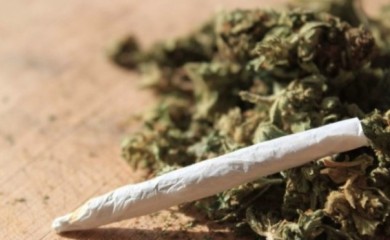 U pretresu pronađena marihuana