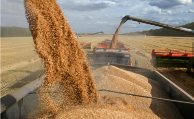 Od Rusije i Ukrajine se traži produženje izvoza žitarica i đubriva