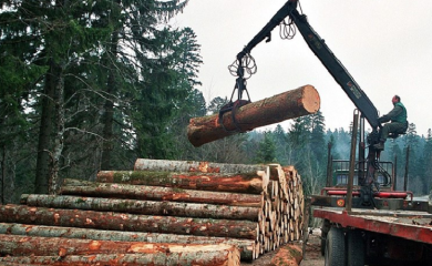 Ukupna proizvodnja i prodaja šumskih sortimenata manja u odnosnu na prošlu godinu