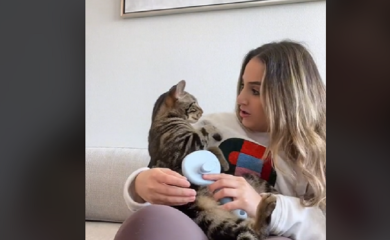 Glumila da je povrijedila mačka, on utjehu tražio u zagrljaju(VIDEO)