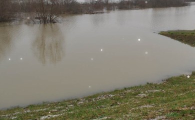 Autom sletio u Savu, u toku potraga