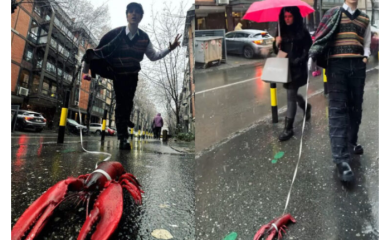 Popularni pjevač napravio pometnju u centru Beograda: Umjesto psa, šetao mrtvog jastoga (FOTO/VIDEO)