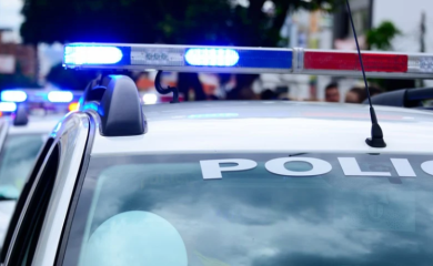 Policija pronašla puške i municiju u Sokocu