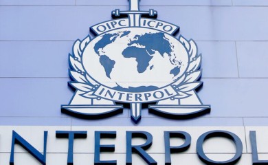 Uhapšeno sedam lica sa Interpolovih potjernica