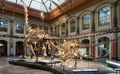 U znaku protesta aktivistkinje zalijepile šake za držače eksponata