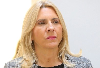 Cvijanović o Šmitu: Glavna prepreka unutrašnjem dijalogu i evropskom putu BiH