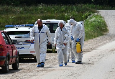 Afrička kuga hara Slavonijom