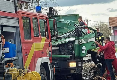 Stablo palo na kamion, poginuo vozač