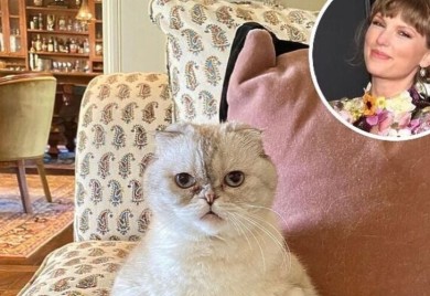 Mačka Taylor Swift je među najbogatijim kućnim ljubimcima na svijetu